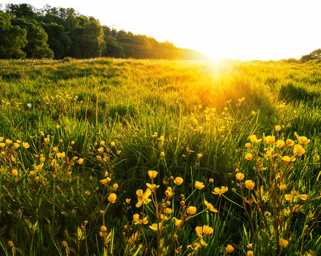 Kategorie: Natur erkunden