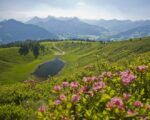 Wertach: Wandertour auf das Wertacher Hörnle Wertach: Wandertour auf das Wertacher Hörnle