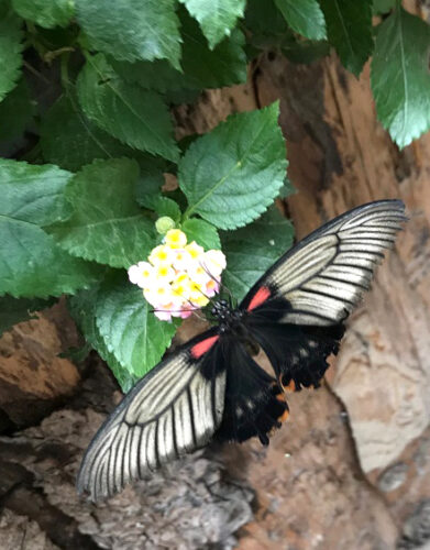 Augsburg: Botanischer Garten Augsburg: Botanischer Garten