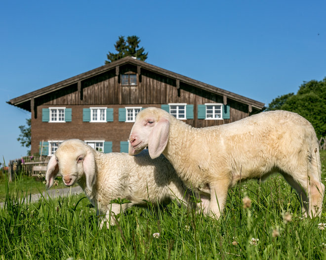 Diepolz: Allgäuer Bergbauernmuseum