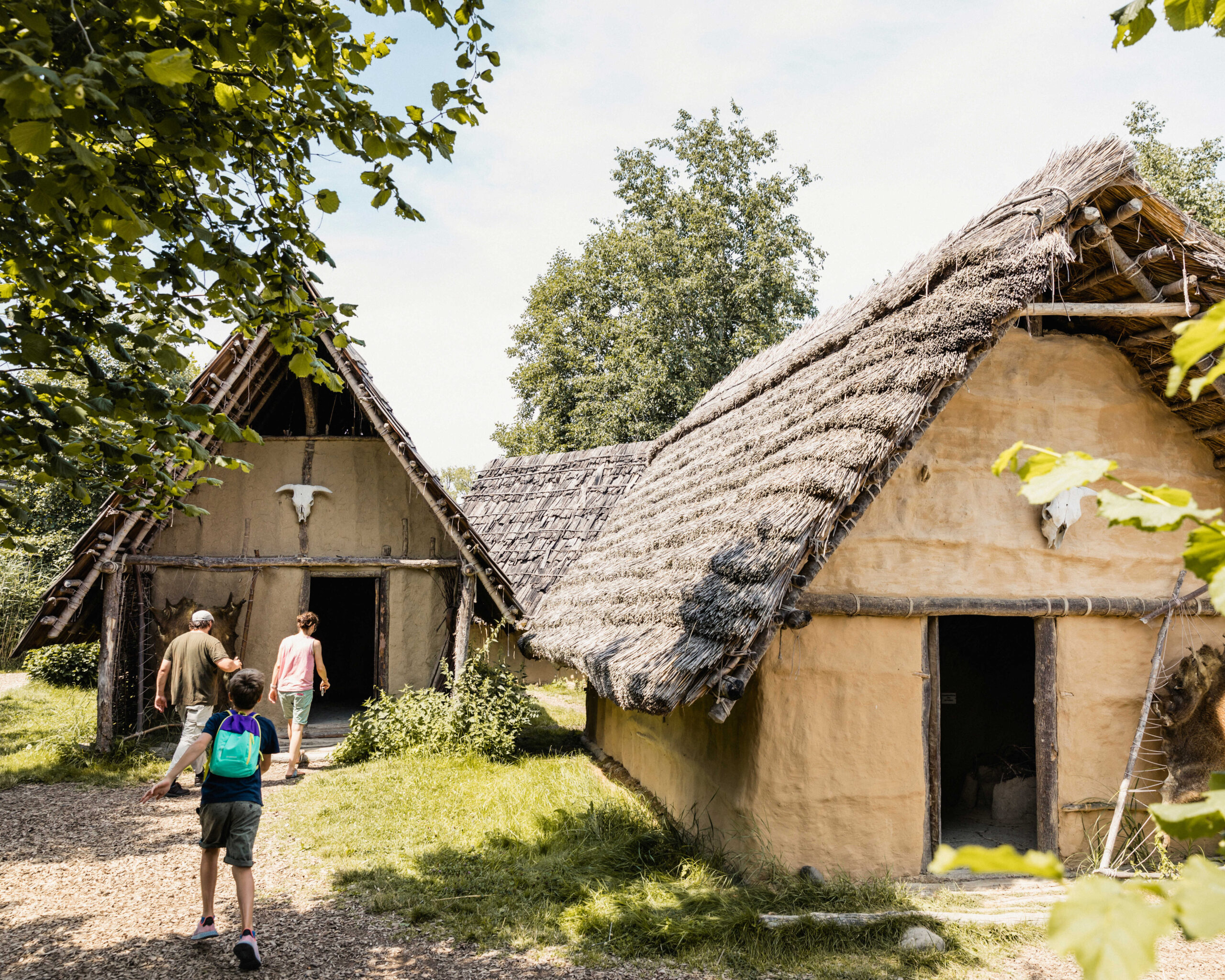 Bad Buchau: Federseemuseum Bad Buchau: Federseemuseum