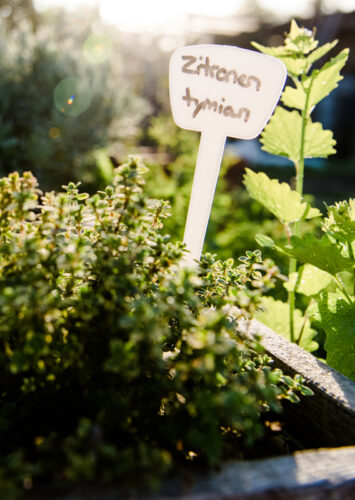 Augsburg: Cityfarm Augsburg: Cityfarm
