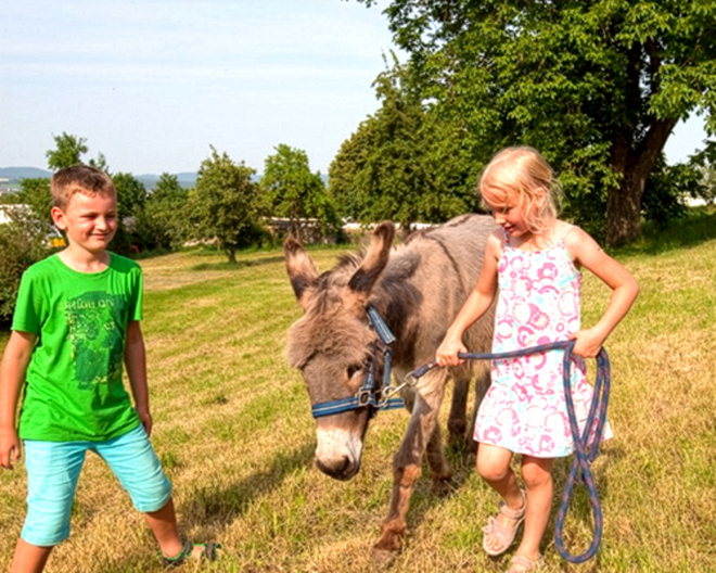 Lohe / Ries: Holunderhof