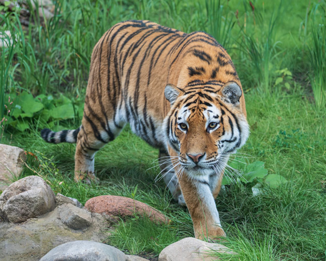 Stuttgart: Zoo + Botanischer Garten Wilhelma