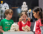 München: Museum Mensch und Natur