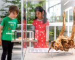 München: Museum Mensch und Natur