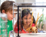 München: Museum Mensch und Natur
