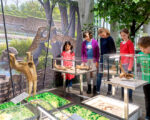 München: Museum Mensch und Natur