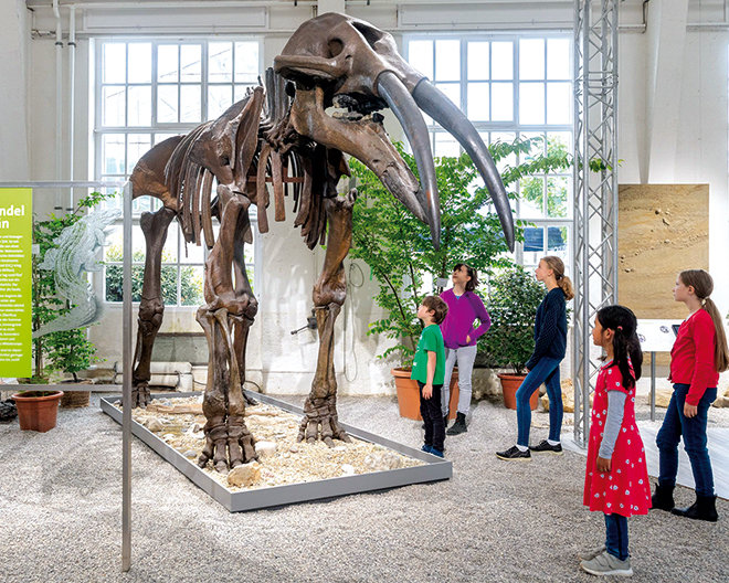 München: Museum Mensch und Natur