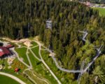 Scheidegg: Waldwelt Skywalk Allgäu Scheidegg: Waldwelt Skywalk Allgäu