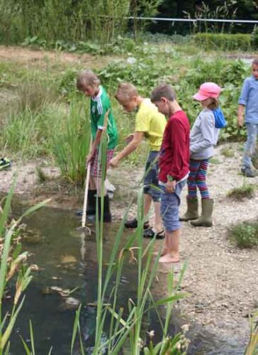 Bächingen: Umweltstation mooseum Bächingen: Umweltstation mooseum