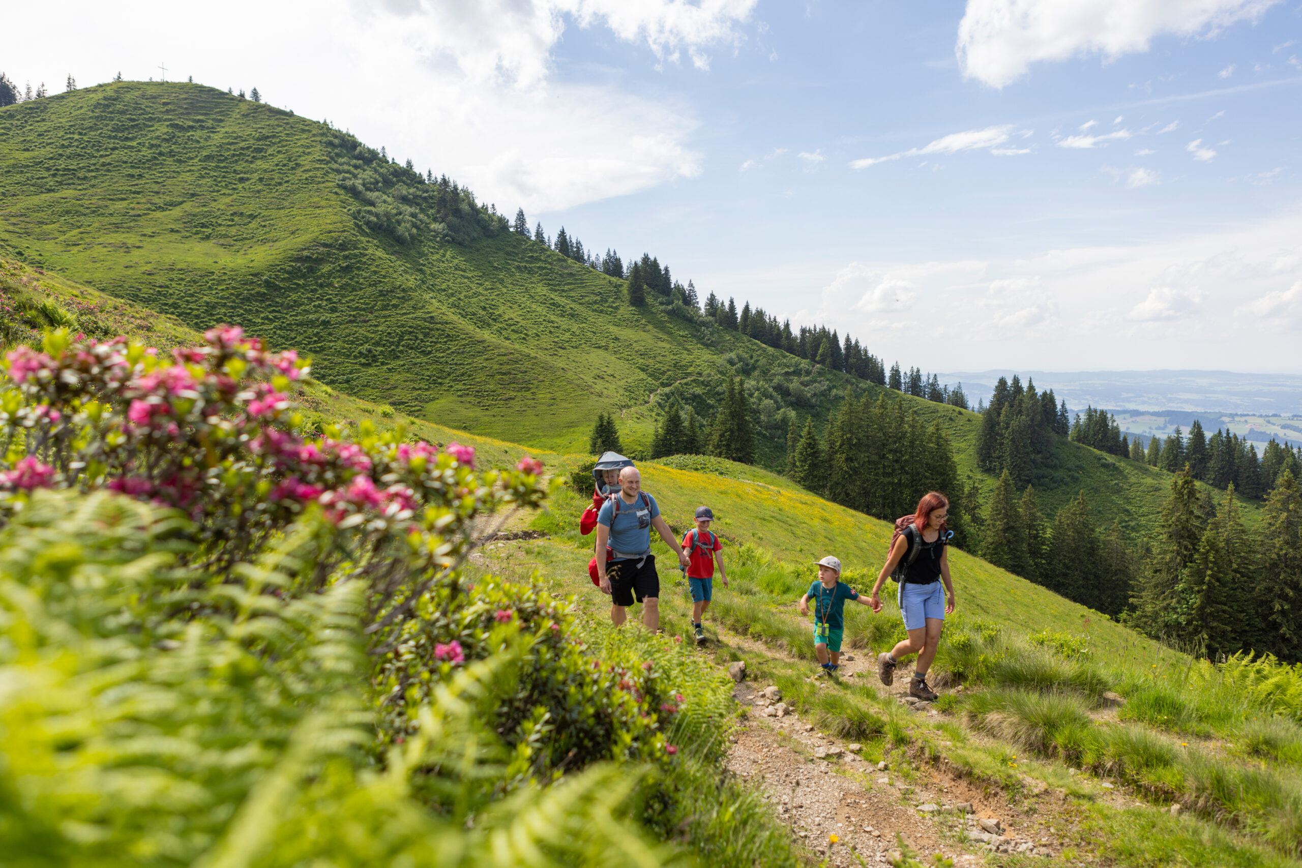 Wertach: Wandertour auf das Wertacher Hörnle Wertach: Wandertour auf das Wertacher Hörnle
