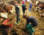 Mitmach-Bauernhof „Beim Hibsch“