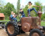 Bad Windsheim: Fränkisches Freilandmuseum