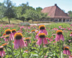 Bad Windsheim: Fränkisches Freilandmuseum