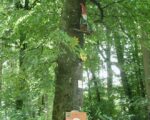 Goldberg: Lauschtour „Sagenhaftes rund um den Goldberg“
