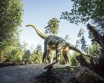 Denkendorf: Dinosaurier Museum Altmühltal