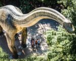 Denkendorf: Dinosaurier Museum Altmühltal