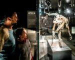 Denkendorf: Dinosaurier Museum Altmühltal