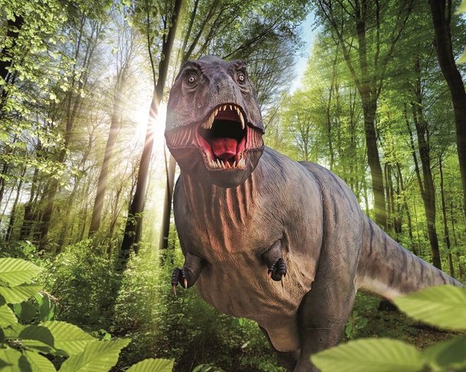 Denkendorf: Dinosaurier Museum Altmühltal