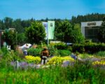 Trochtelfingen: Nudelerlebniswelt bei ALB-GOLD