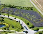 Trochtelfingen: Nudelerlebniswelt bei ALB-GOLD