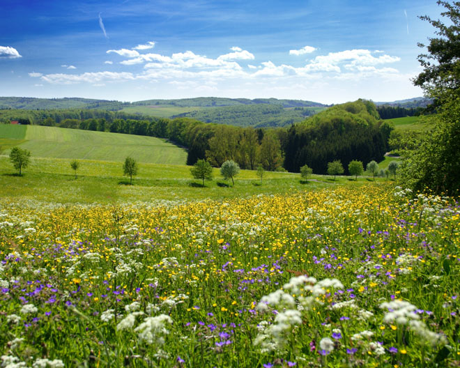 Auernheim: Wasser- und Klangpfad Auernheim: Wasser- und Klangpfad