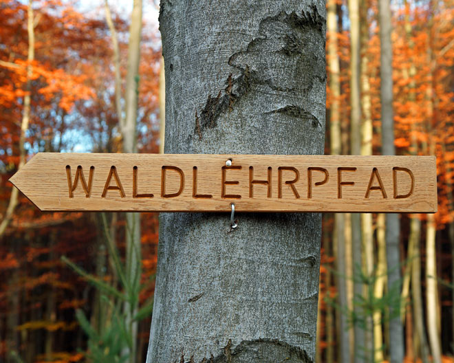 Zusmarshausen: Waldlehrpfad „Am Horn“ Zusmarshausen: Waldlehrpfad „Am Horn“