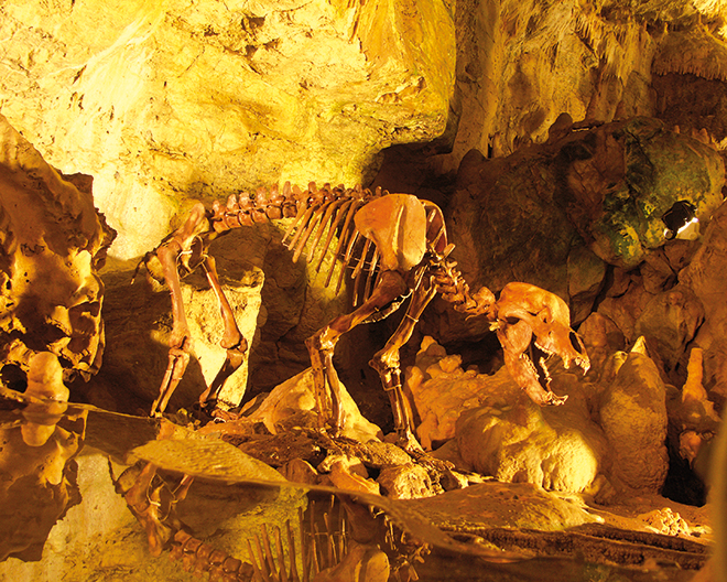 Erpfingen: Bärenhöhle