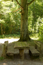 Dießen: Burgwald-Lehrpfad