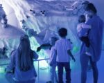 Giengen: Steiff-Museum Giengen: Steiff-Museum