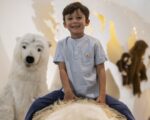 Giengen: Steiff-Museum Giengen: Steiff-Museum