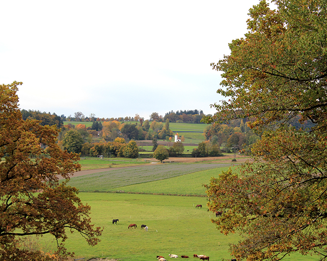 Dießen: Burgwald-Lehrpfad