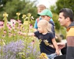 Trochtelfingen: Nudelerlebniswelt bei ALB-GOLD