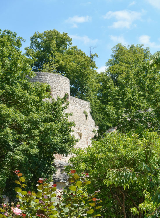Pappenheim: Natur- und Erlebnispfad Pappenheim: Natur- und Erlebnispfad