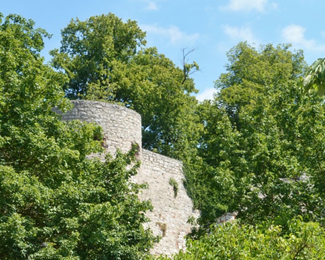 Pappenheim: Natur- und Erlebnispfad