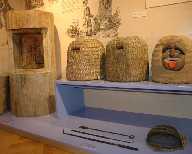 Illertissen: Bienenmuseum
