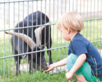 Dasing: Spielplatz Bauernmarkt Dasing