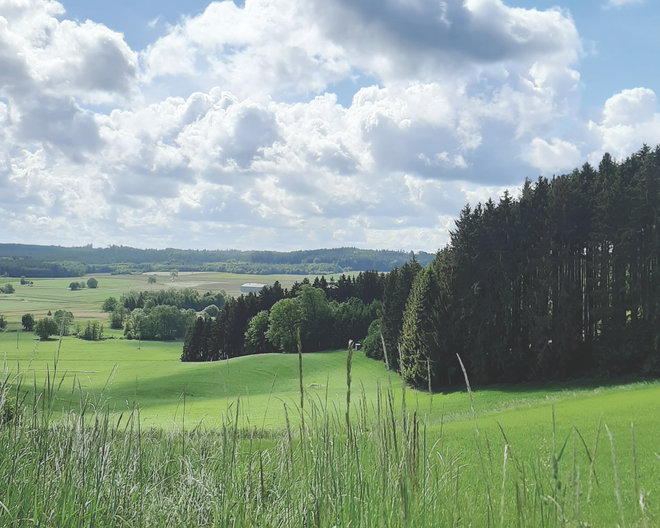 Fischach: Buschelberg Wanderung