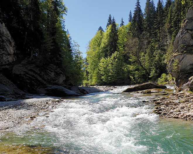 Saulgrub: Ammerschlucht