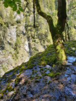 Saulgrub: Ammerschlucht