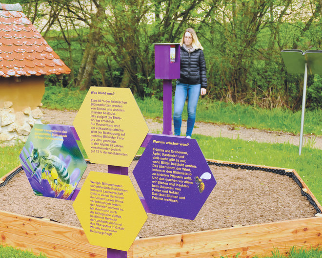 Maihingen: Bienengarten