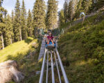 Alpbach (A): Alpbacher Lauserland
