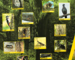 Thannhausen: Naturerlebnispfad Hansenhohl Thannhausen: Naturerlebnispfad Hansenhohl