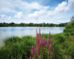Kissing: Weitmannsee