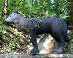 Holzheim: Bogenschießen Holzheim: Bogenschießen
