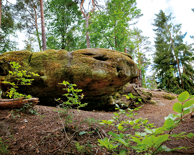 Franken: Druidenweg bei Mäbenberg Franken: Druidenweg bei Mäbenberg