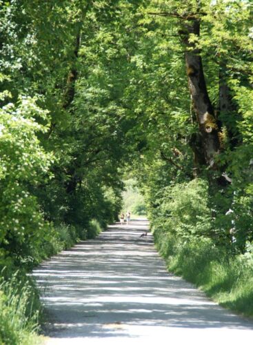 Benediktbeuern: Gehölzpfad Klosterland Benediktbeuern: Gehölzpfad Klosterland