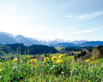 Bolsterlang: Bergblick-Wanderweg