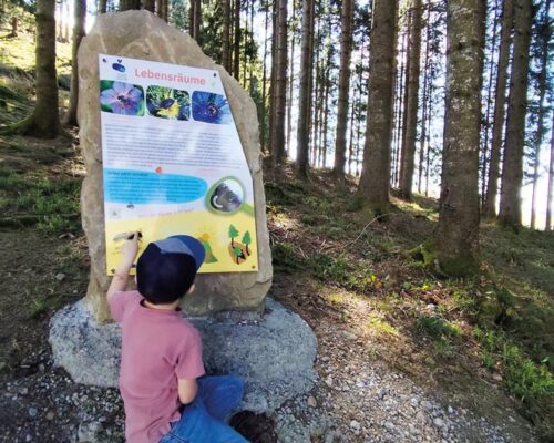 Allgäu: Erlebnisberg Hündle Oberstaufen Allgäu: Erlebnisberg Hündle Oberstaufen